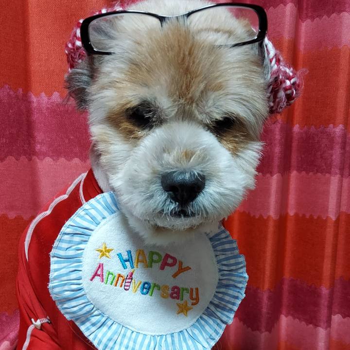 D13cdee3 3997 484f b0bb c3ff17ddcf11 1671624150939