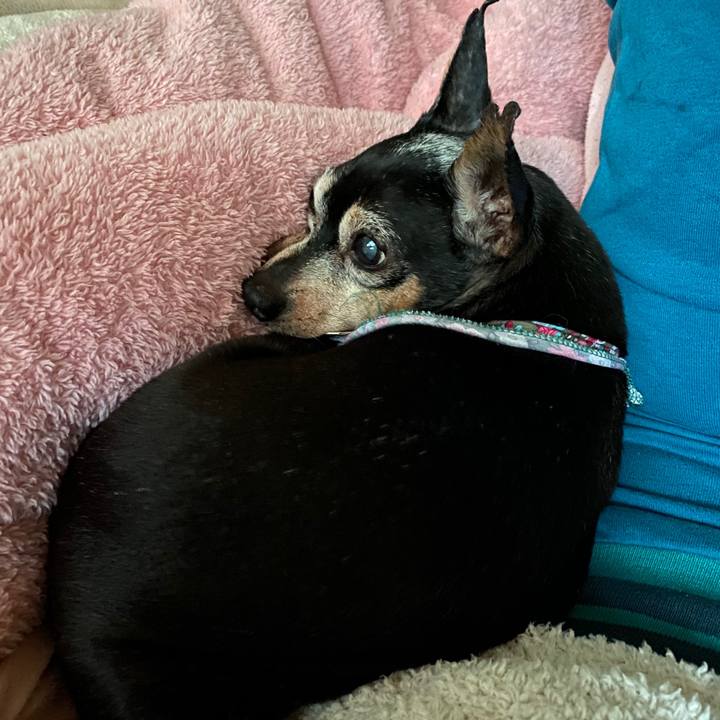 D13ce2f1 c311 4ac1 9dd5 82793ecada51 1583665622819