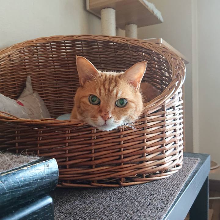 D13d187d 9016 4f02 bba4 32b0997957a4 1687598355827