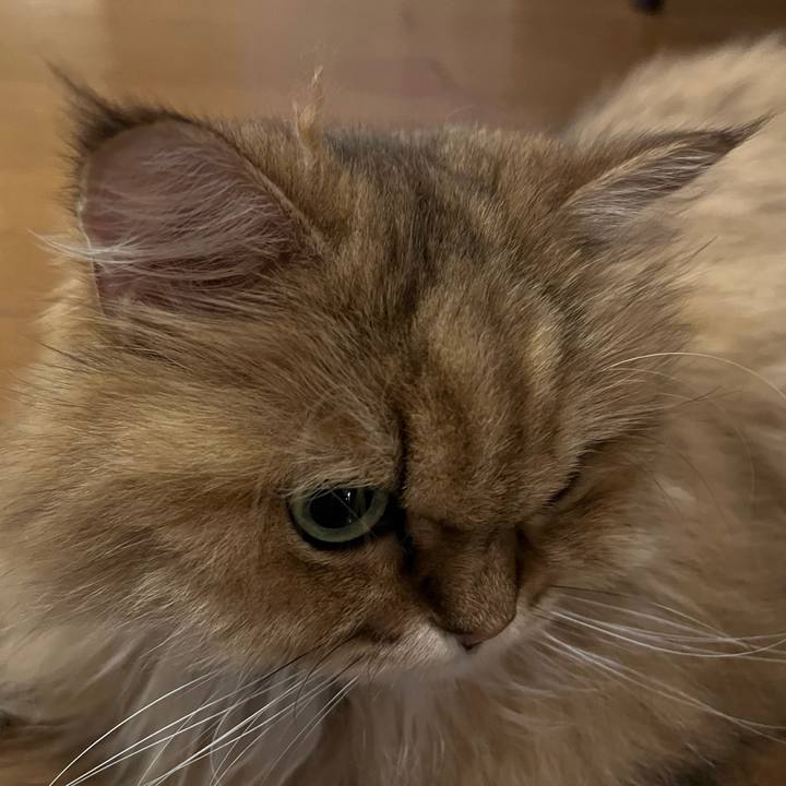 D13d925a 3ed7 410b 8c9b c8c02741e0a1 1726365687518