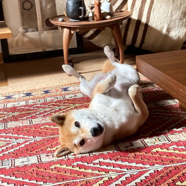 D13db77c e657 4969 8d06 81950bf676bb 1738373821176