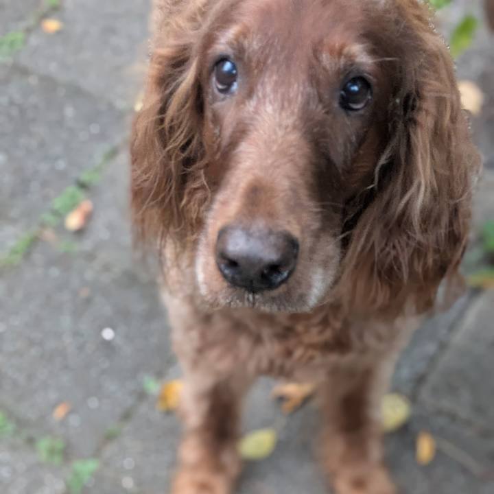 D13dc2b3 b070 454f a07c d8faba89c49b 1760481068152