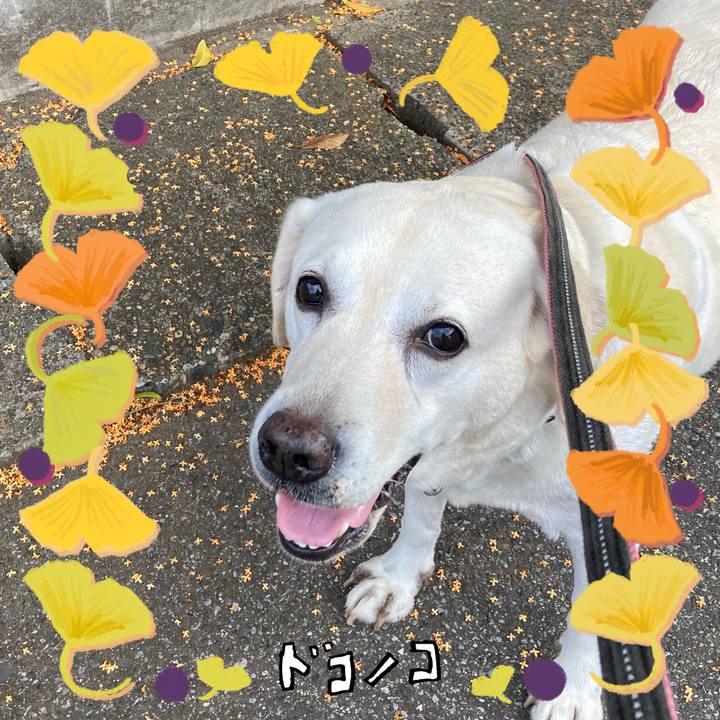 D13dd2e5 a982 412a ba04 b7c14cdc04bb 1729402330034