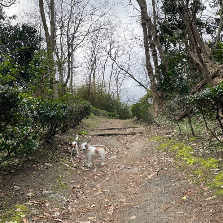 D13def15 75b7 4b5a 8298 c10eea667dfe 1648768949435