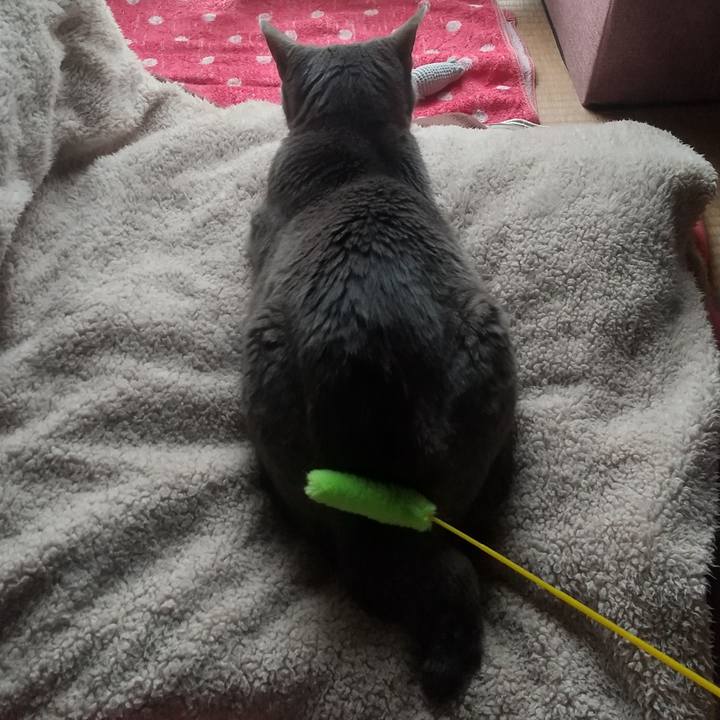 D13e18a6 c0e6 4035 b1fd 04e86b675f89 1684018540300