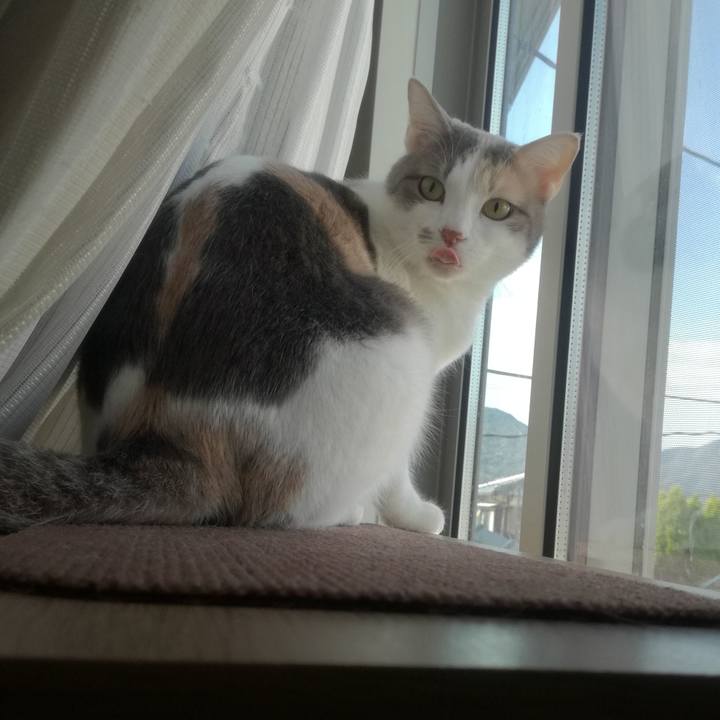 D13e41e6 fb9c 42ee 832b d2d30bac2489 1554347849633