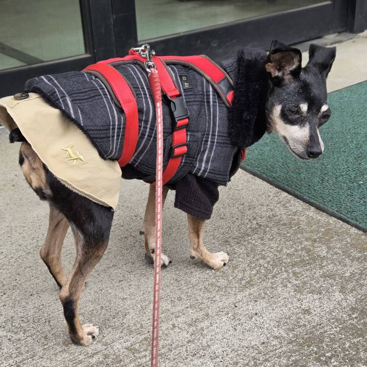 D13e4cff 232e 4a56 b4c6 8534564bc772 1768872060187