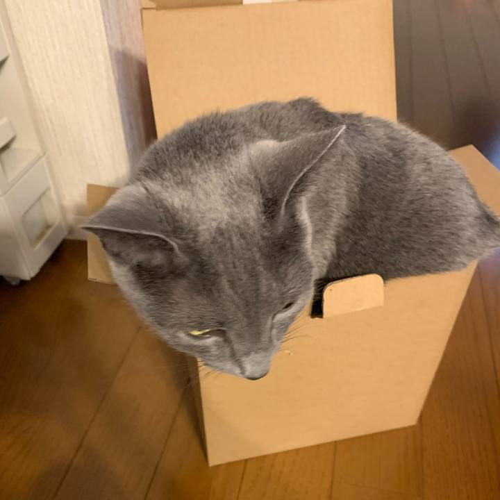 D13e7620 a20f 48de 935c 562b5888049d 1669886318252