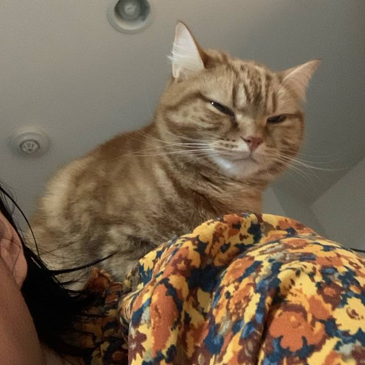 D13e7952 7398 4272 88f7 5cc8ef607d89 1577325693345