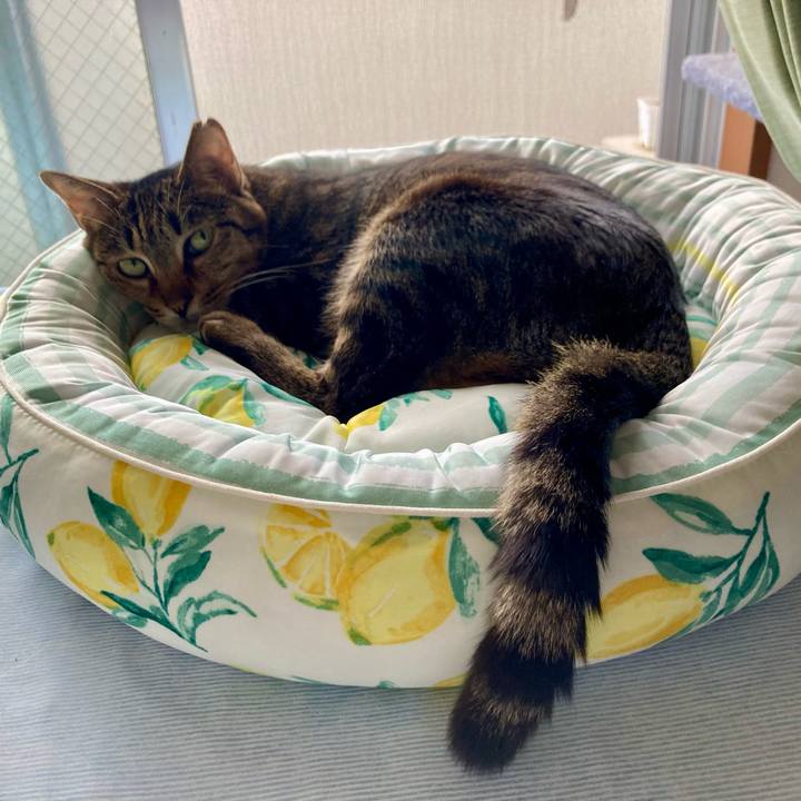 D13eb974 4e3e 43c6 99df a1614cf07ab1 1717457369415