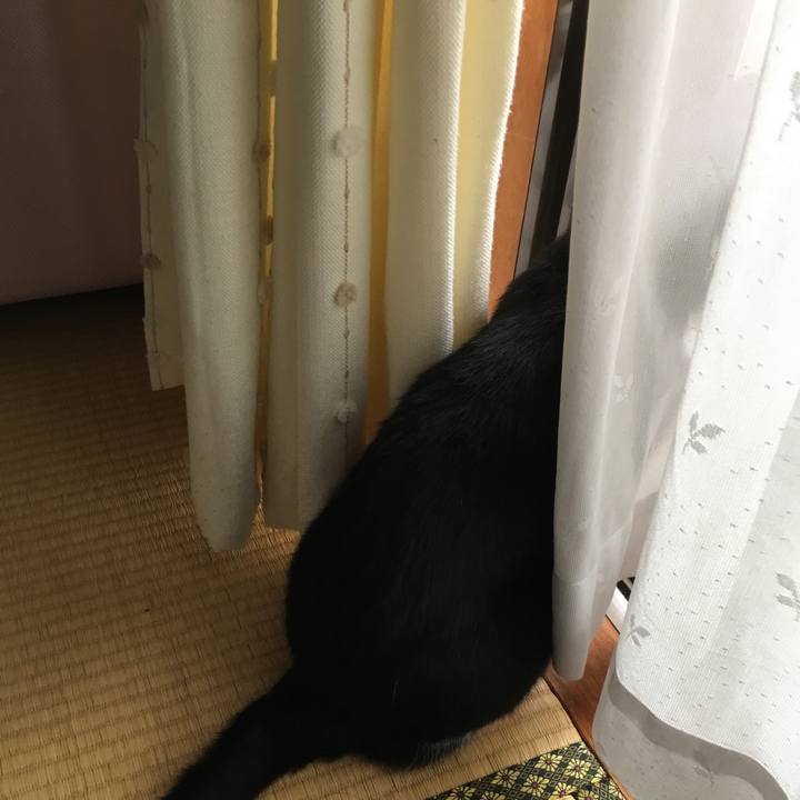 D13edbe3 37b3 4977 8a91 fa934585127f 1529656378085