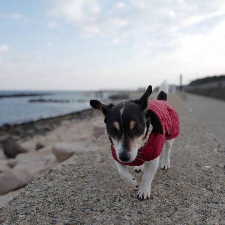 D13f13bc b8ec 464a 96c2 8ded3b570d62 1551157764284