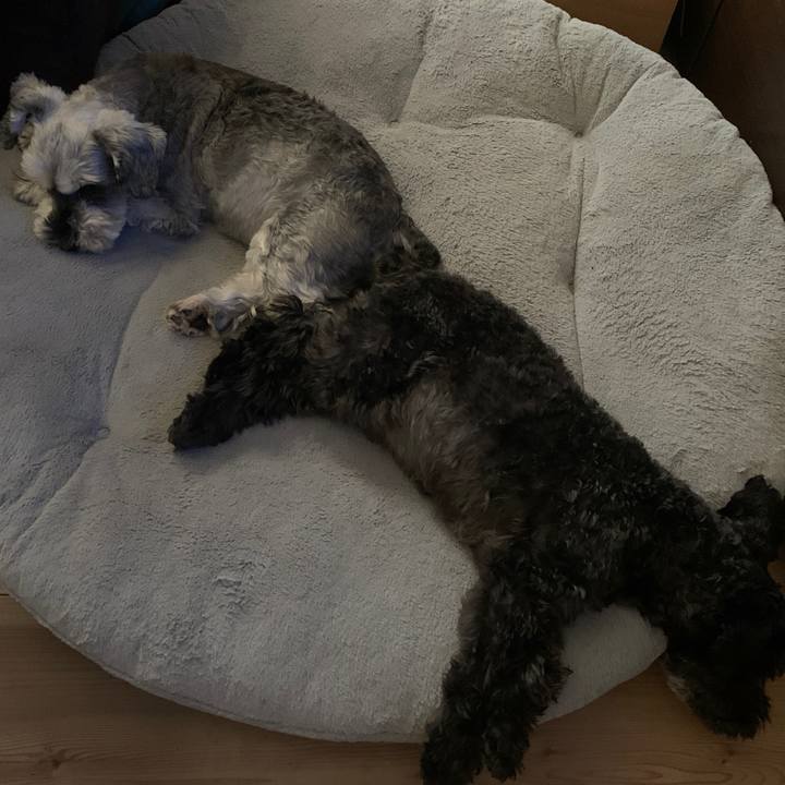 D13f32aa 7bb1 4745 bbe5 cde21536e907 1690001283093