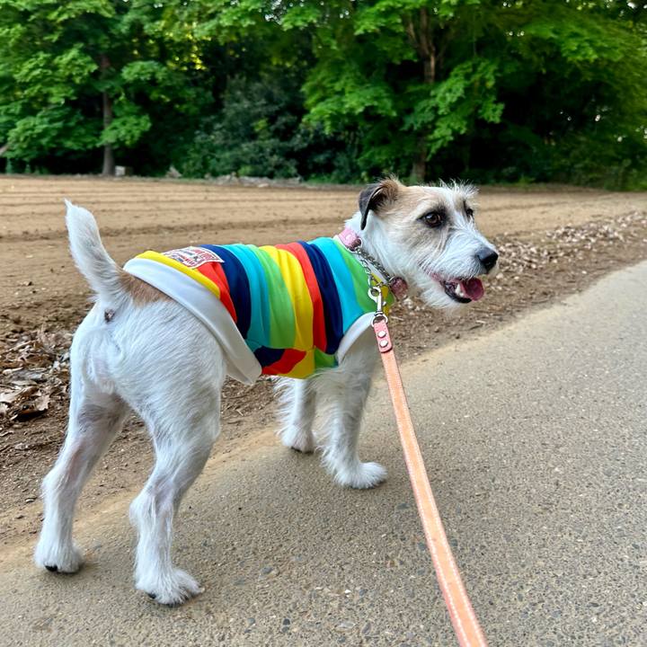 D13f7eed 30ae 4518 a502 841cb322d1fd 1714907205397