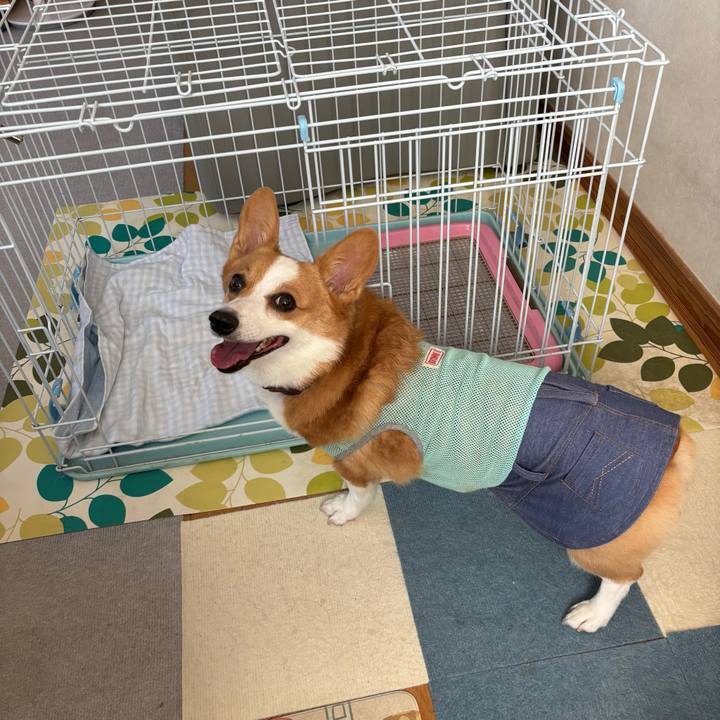 D13f8ad0 14c7 4e25 804a 5f5e32eddf7a 1758755416918