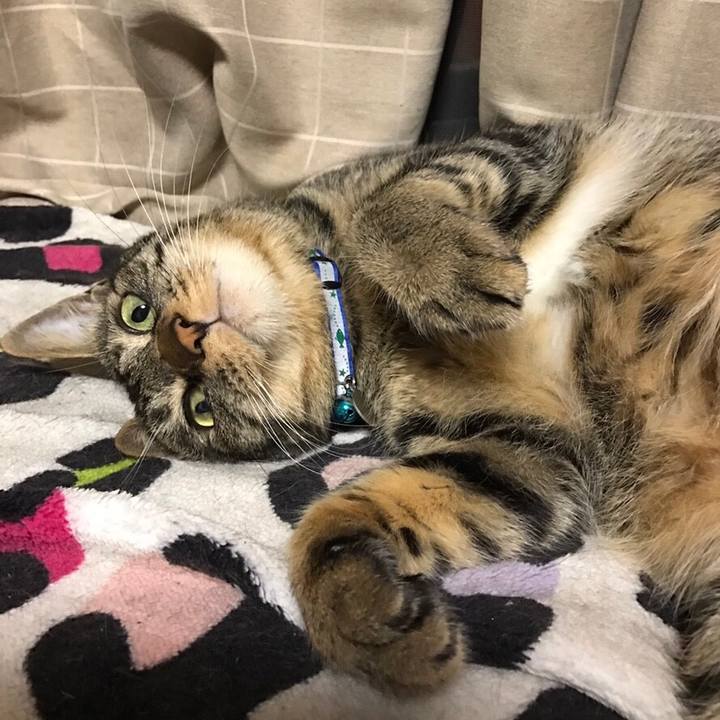 D13fa1d3 c8fa 45ce 9c32 5fd8a008c781 1548258073667