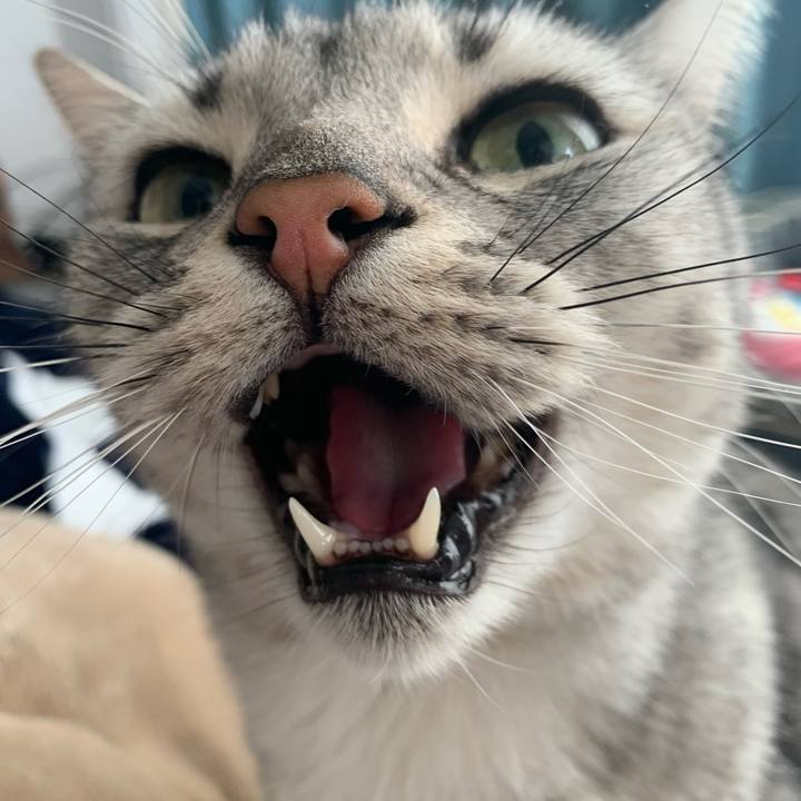 D13fb343 edb2 4d9a bcd9 3066315408f0 1648165726593