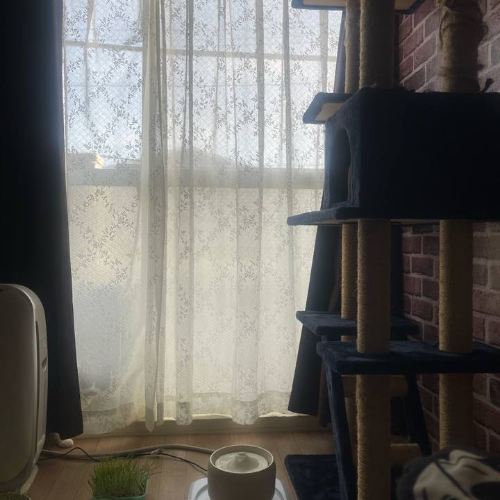 D13fbc47 b1e8 4ce6 a3d4 5517b93ae257 1744184063064