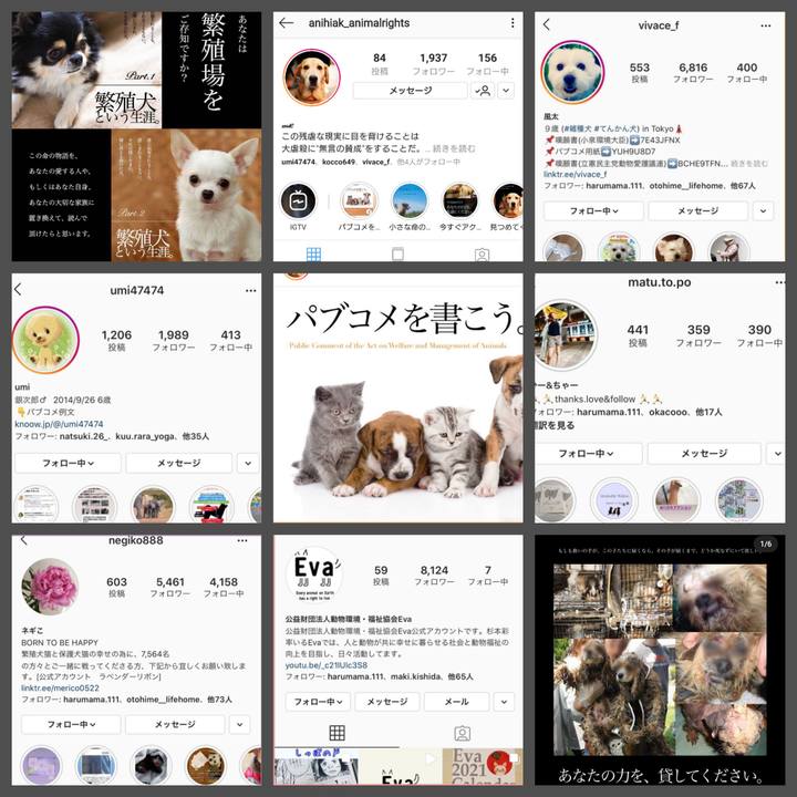 D13fe7c4 6b04 4394 95fc 09bb00778dcb 1604727226007