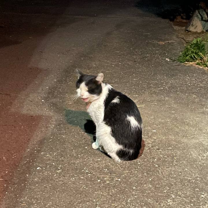 D13ff606 6d45 43d7 9c3b a3f9a36a9bf4 1633543008075