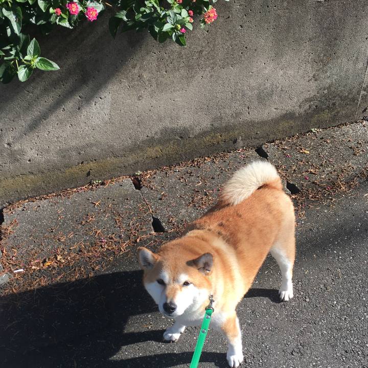 D1402f46 2113 4811 a23b 74c95f6f71e6 1603238100970