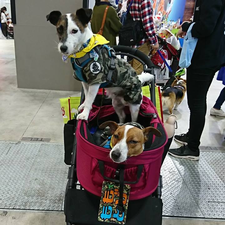 D1406969 74c5 4ee8 a50b 5fb4641da27e 1553930583526