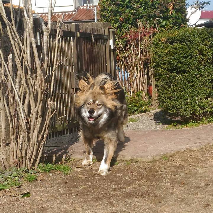 D140b53c 119a 4f28 be20 b18c51344eca 1520823238317