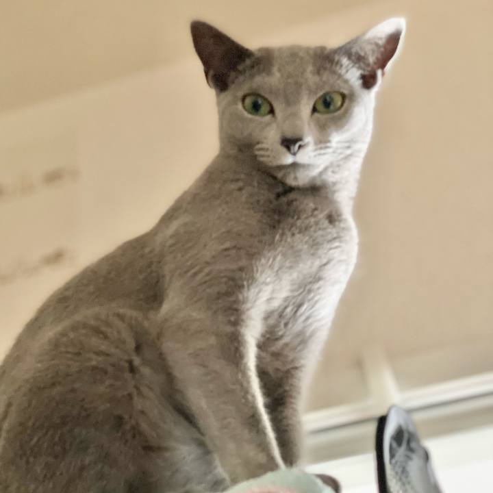 D140d197 58c1 4d80 a2b2 282eb04372ac 1619074027608