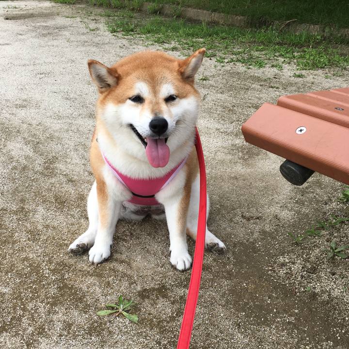 D140e8ad 500c 4105 b7f5 5e541a4992e5 1595821461951