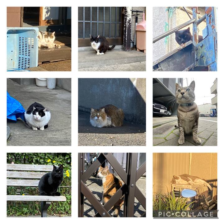 D1410126 df02 42c1 a4c1 4fa9d53390c9 1674682981267