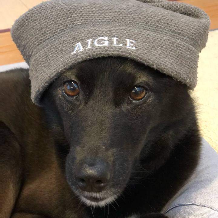 D141413e 90b0 47a9 ae96 30093d6229f0 1620024935056