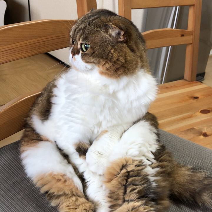 D141522c 47ec 46f1 9902 08a04b13565d 1536975053588