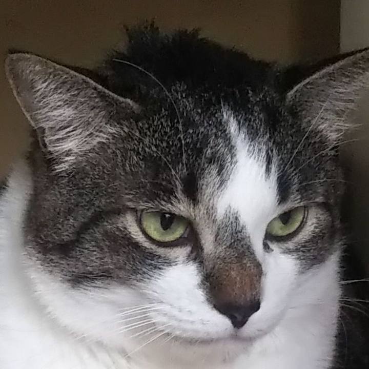 D1417602 b868 46c6 bfe7 7deed2e70525 1627892498157