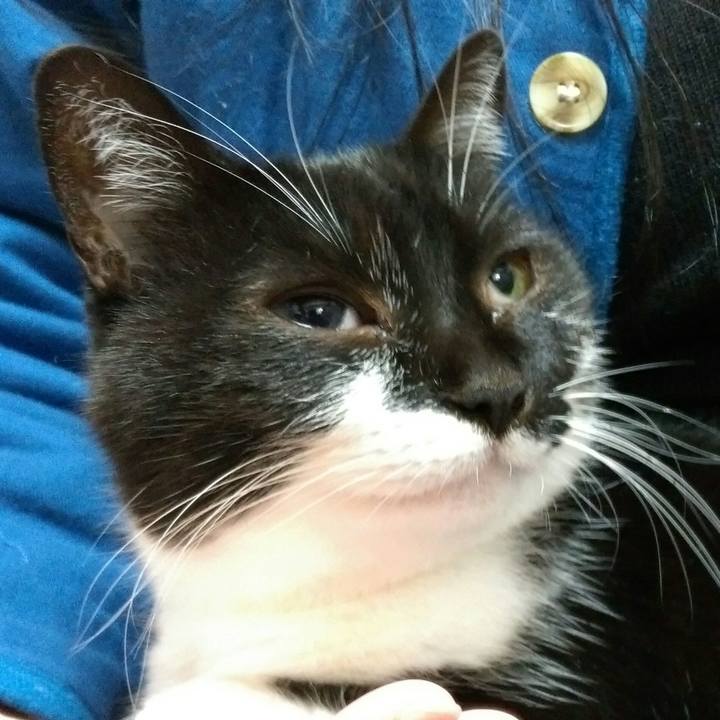 D14180fc 5f20 4ad5 8202 40cf1692d7af 1546695744612