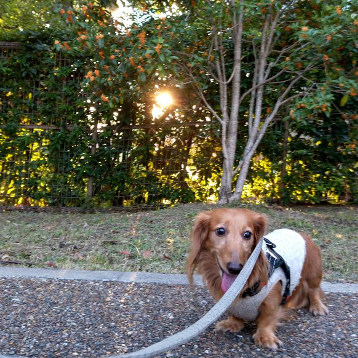 D1418a34 b2ea 4752 9f60 4994a883b905 1697712647006