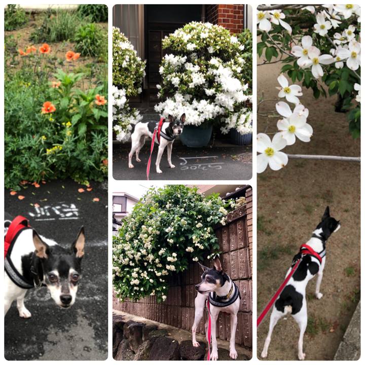 D141a533 9130 4324 8dab 1789867a816d 1556147794751