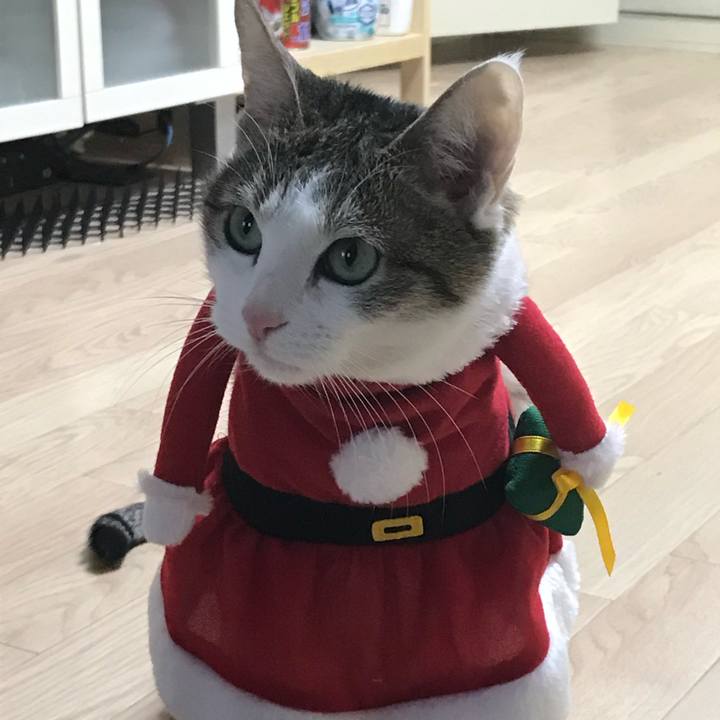 D141ec7b 0580 4a78 9e57 5836d7c1b35b 1703421152681