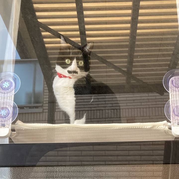 D1421005 715d 493c b5da 818d350e148d 1746541025603