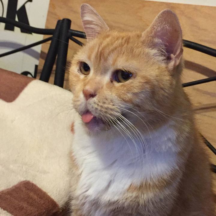 D1421659 3317 492a b6c2 b991f03750eb 1576028691615