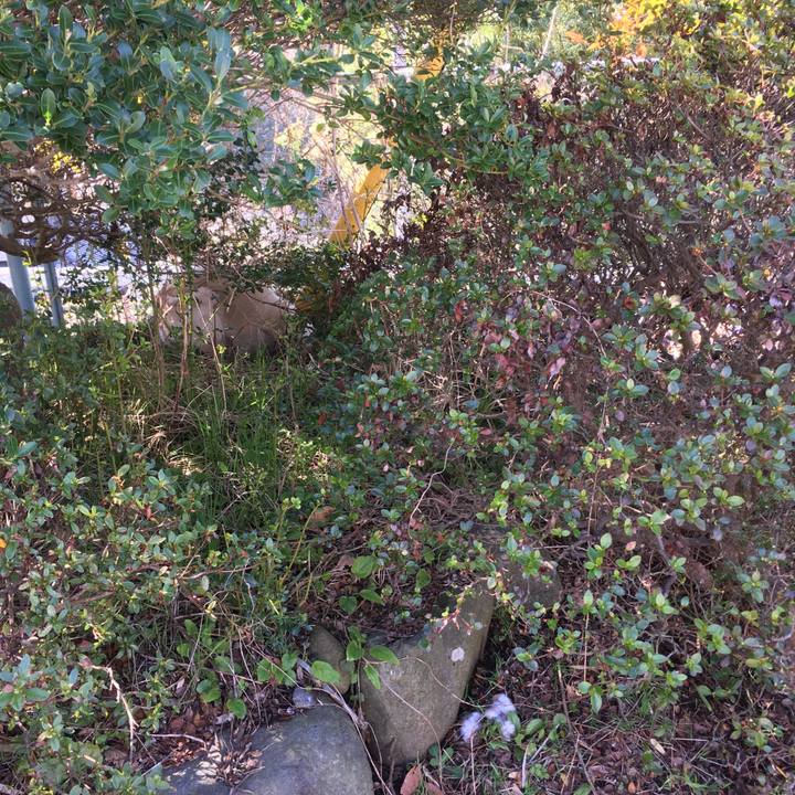 D1424b08 40de 47c4 9f26 b12d06b22acc 1521938451629