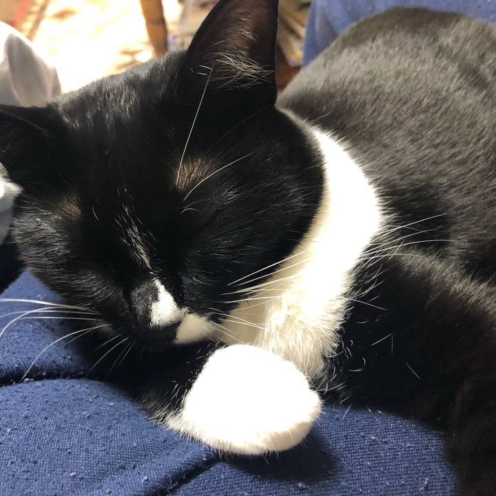 D1424e37 a7db 4187 b50c 54fdabab9c90 1550230982001