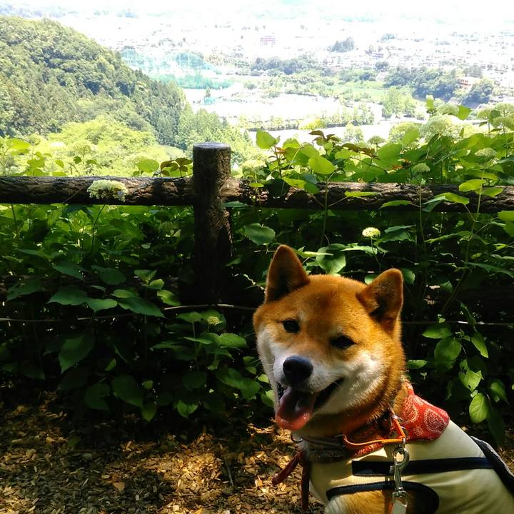 D14251d3 1ee4 4bf7 83d7 d204e9c2b801 1527926855874