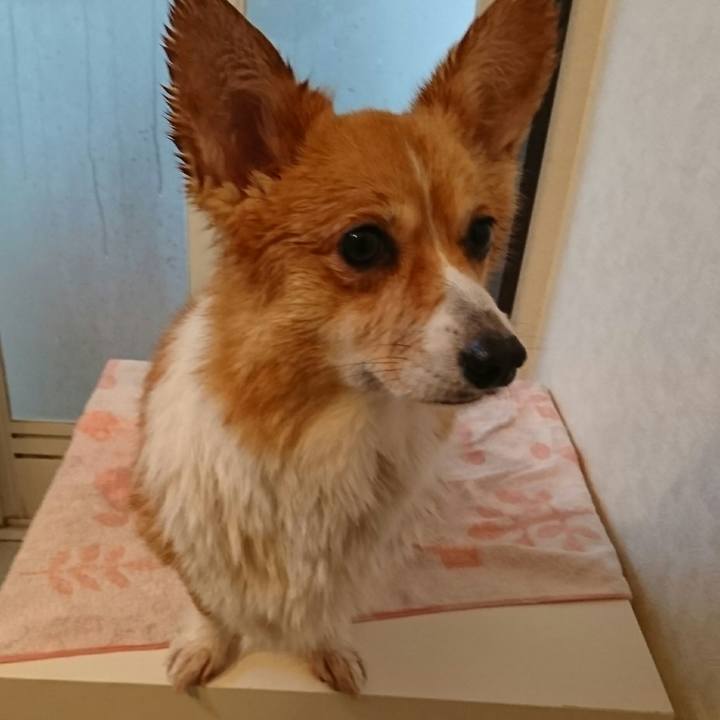 D14275d3 d765 45aa baed 387cd7ab2e17 1550391511242