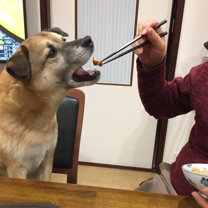 D1427abe 2636 4e78 8edc 286d6e727378 1518779113590