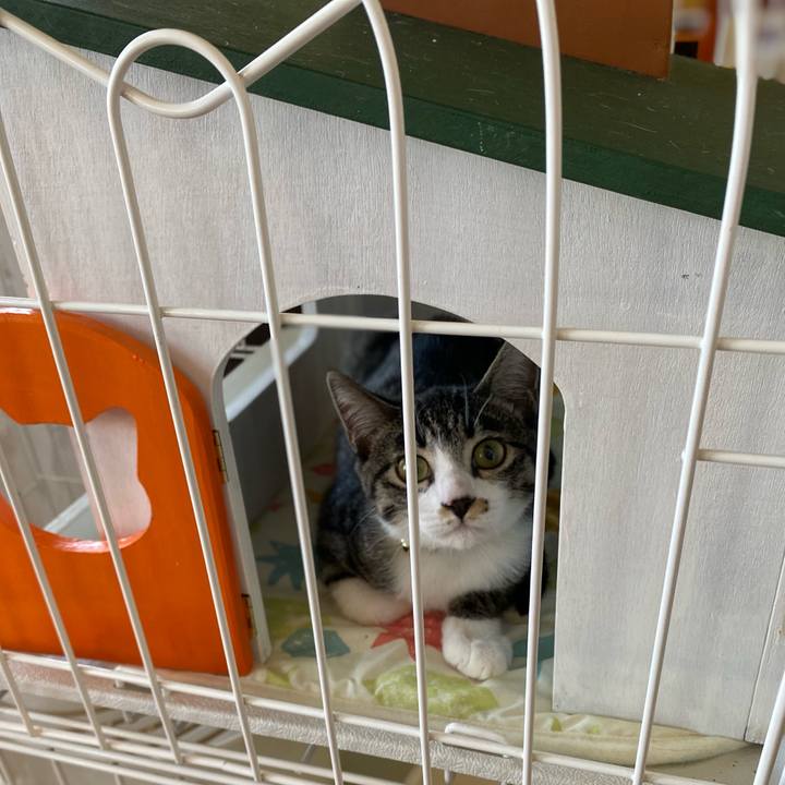 D142c643 89be 4743 8b5e bdcc76475903 1693710287538