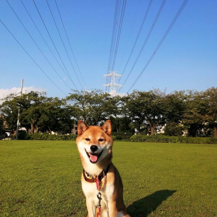 D142e60a ba93 4fa6 a029 02e90022ef43 1596193502339