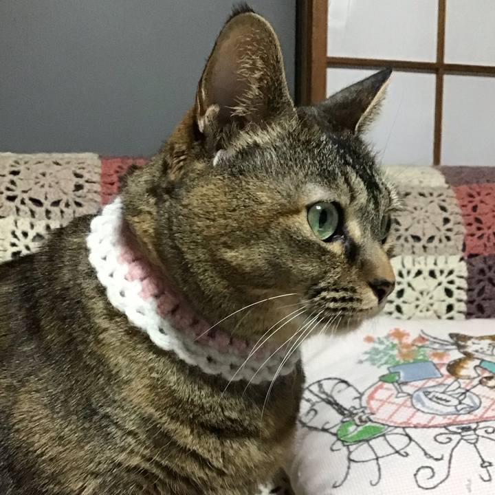 D1431074 b899 4ea3 8141 a590fceb3e84 1740821995822