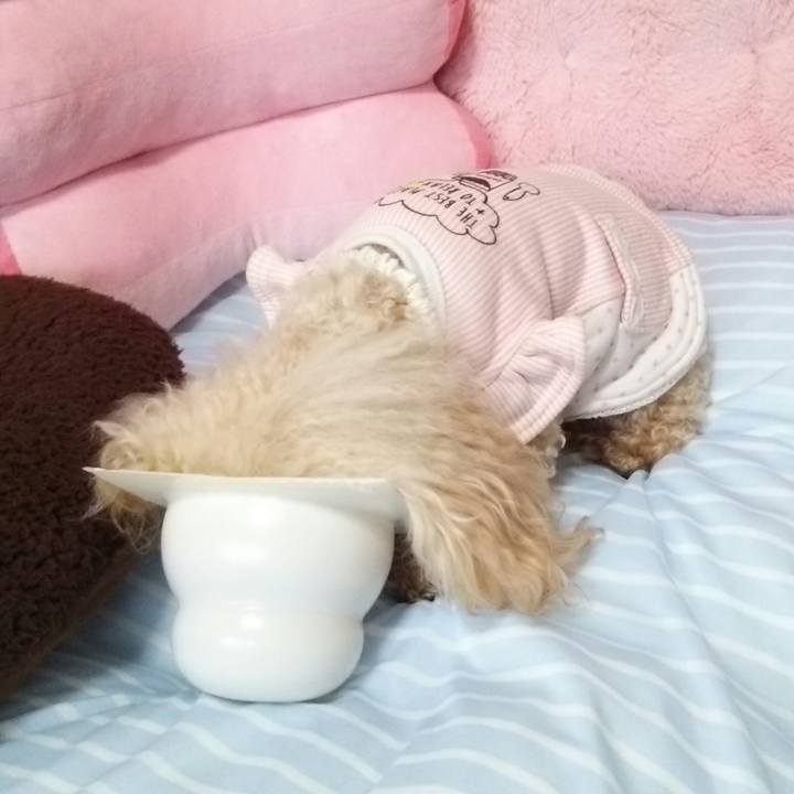 D14335c8 bf14 4653 ab47 030feee46d16 1515714805838