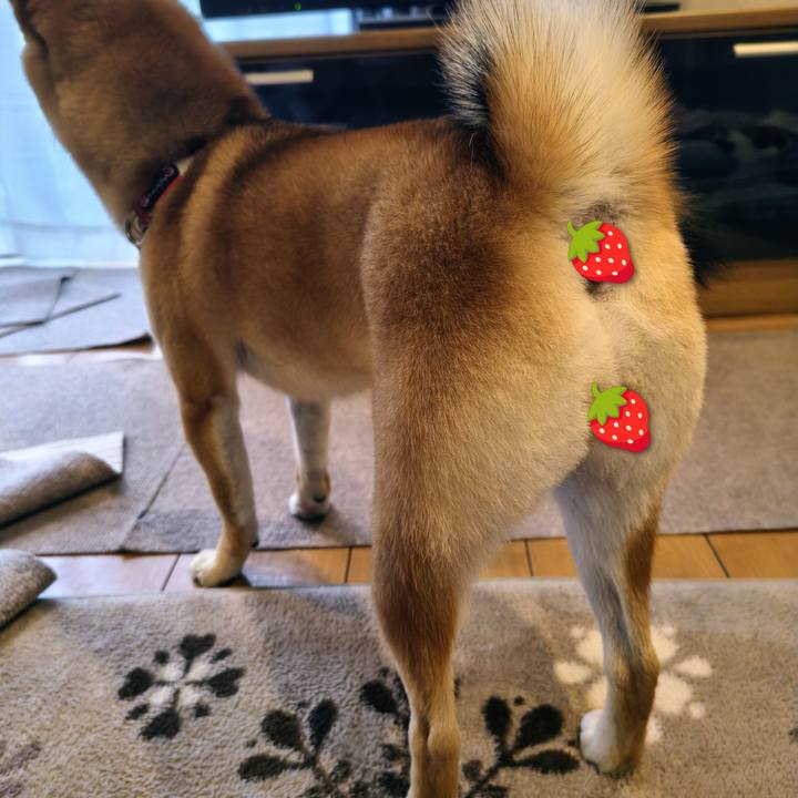 D1434492 2f58 40b9 9d2f ef1bf534e2c2 1768277810845