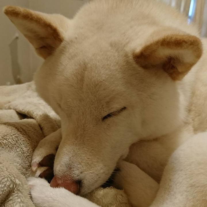 D1434a0a 950c 45ec 997d 11097be134fd 1550018607124